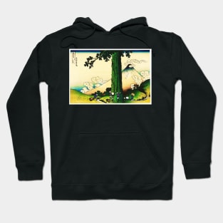 Mishima Pass in Kai Province Digitally enhanced Hoodie